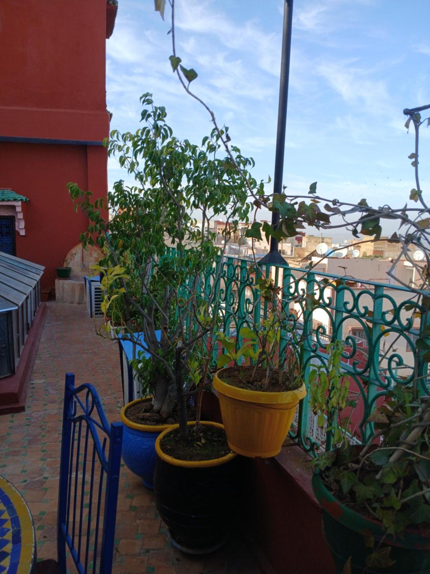 Riad Idrissi Meknès Exteriér fotografie