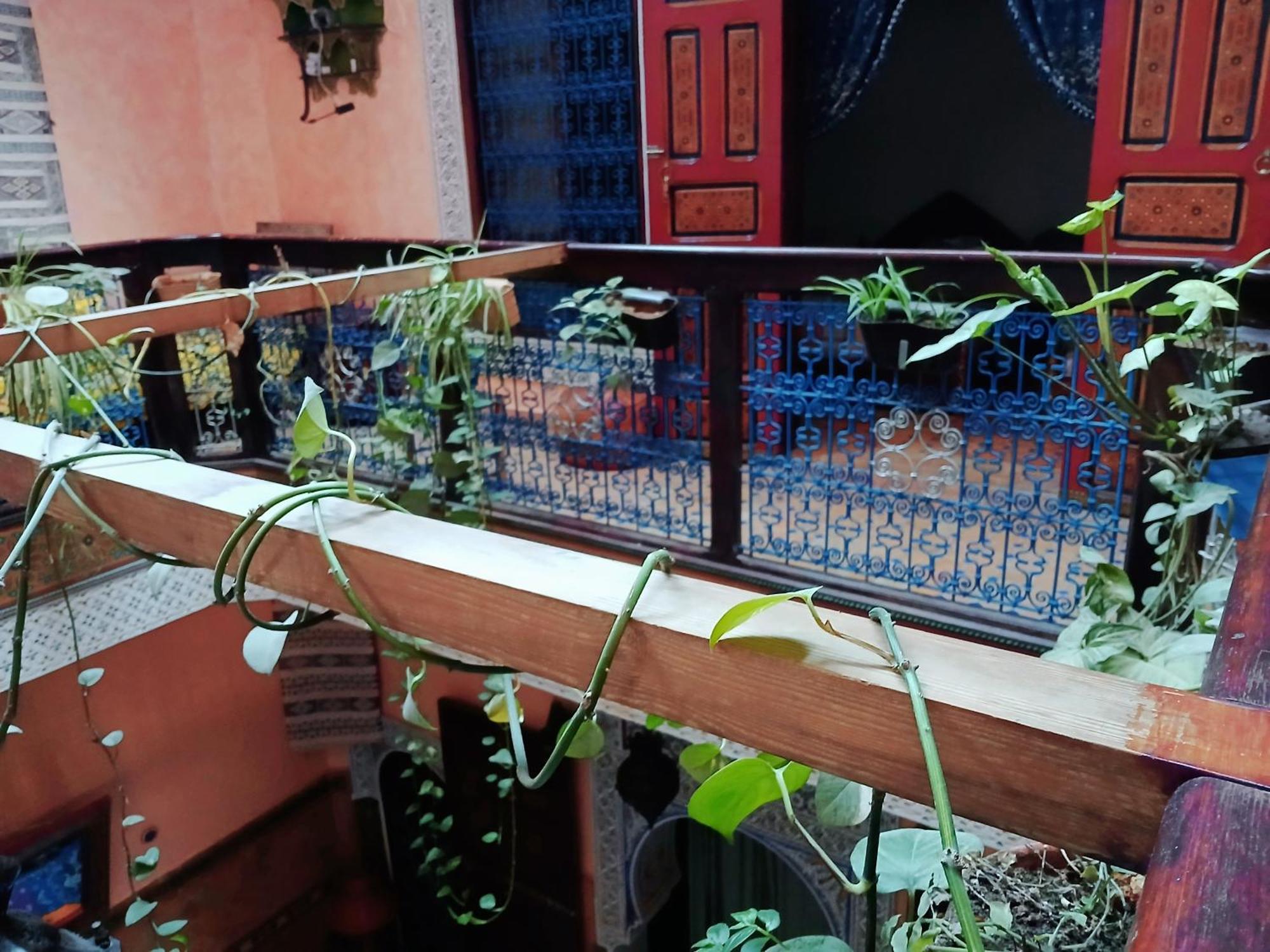 Riad Idrissi Meknès Exteriér fotografie
